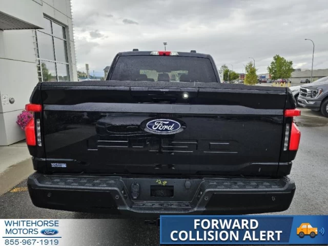 Ford F-150 Lightning Flash 2024