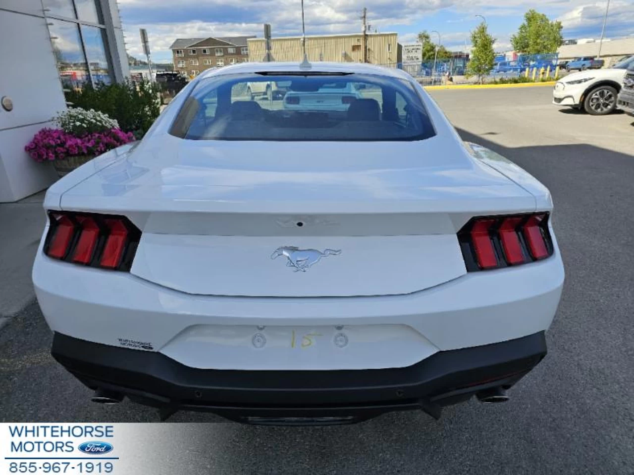 2024 Ford Mustang EcoBoost Main Image