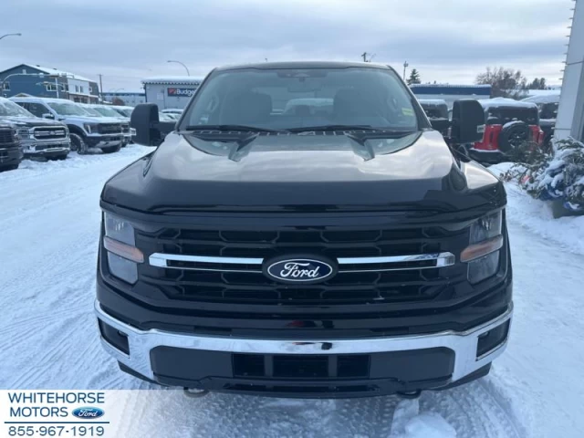 Ford F-150 XLT 2024