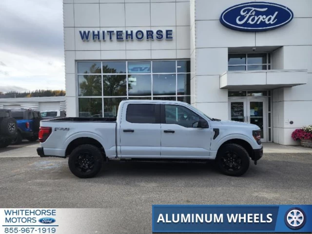 Ford F-150 STX 2024