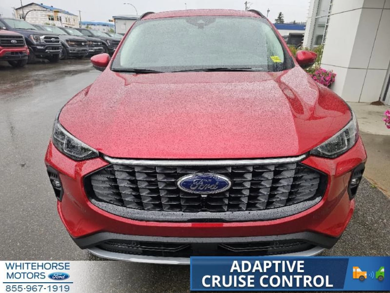 2024 Ford Escape PHEV Main Image