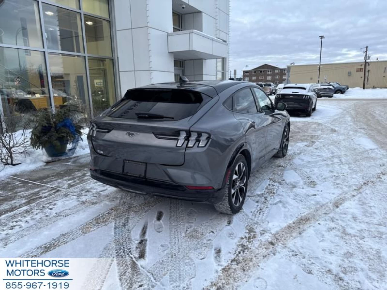 2021 Ford Mustang Mach-E Premium AWD Main Image