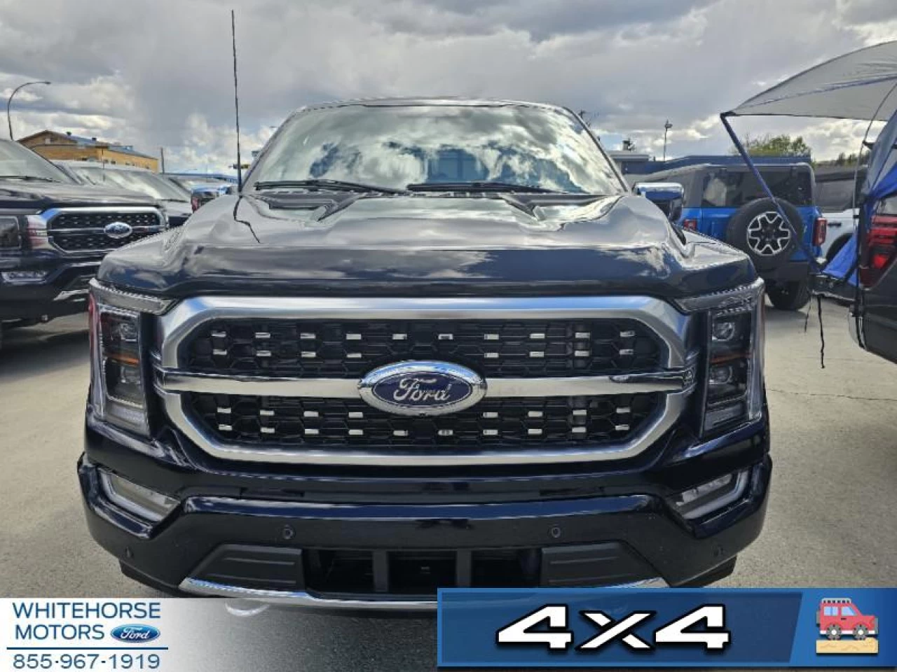 2023 Ford F-150 Platinum Main Image