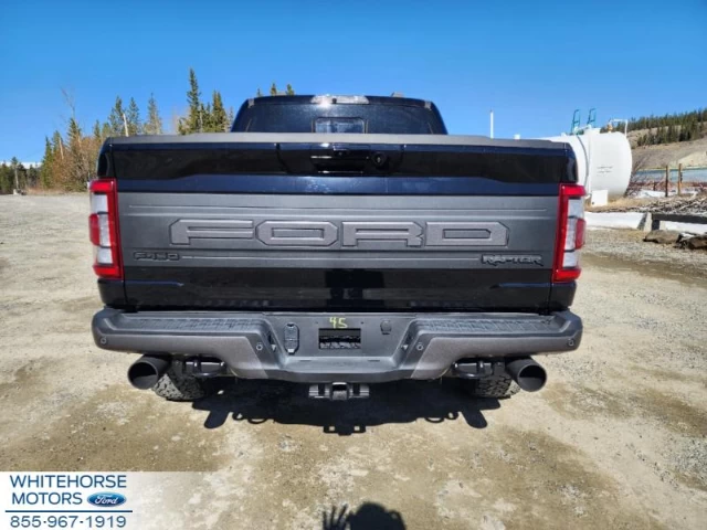 Ford F-150 Raptor 2023