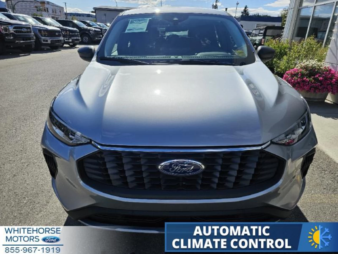 2024 Ford Escape Active Image principale