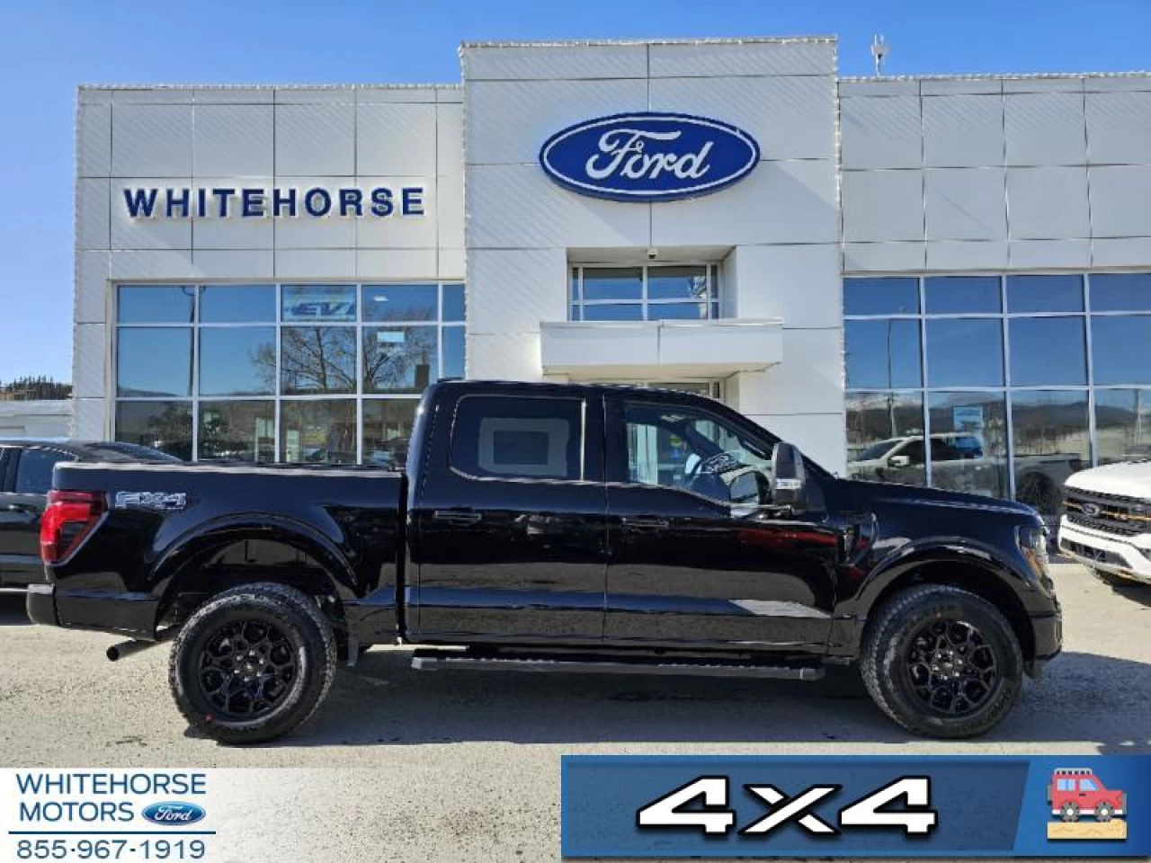 2024 Ford F-150 XLT Image principale