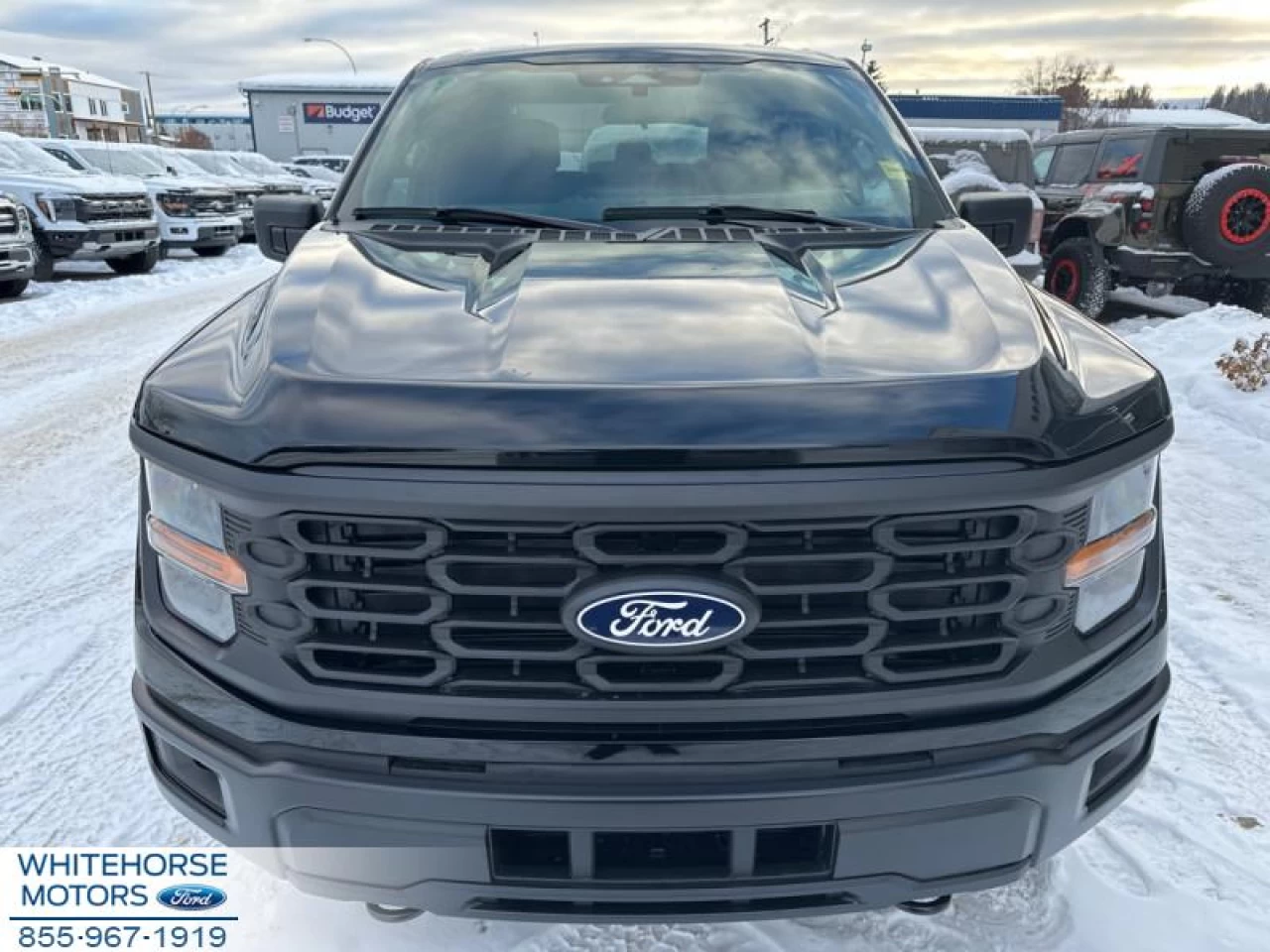 2024 Ford F-150 STX Image principale