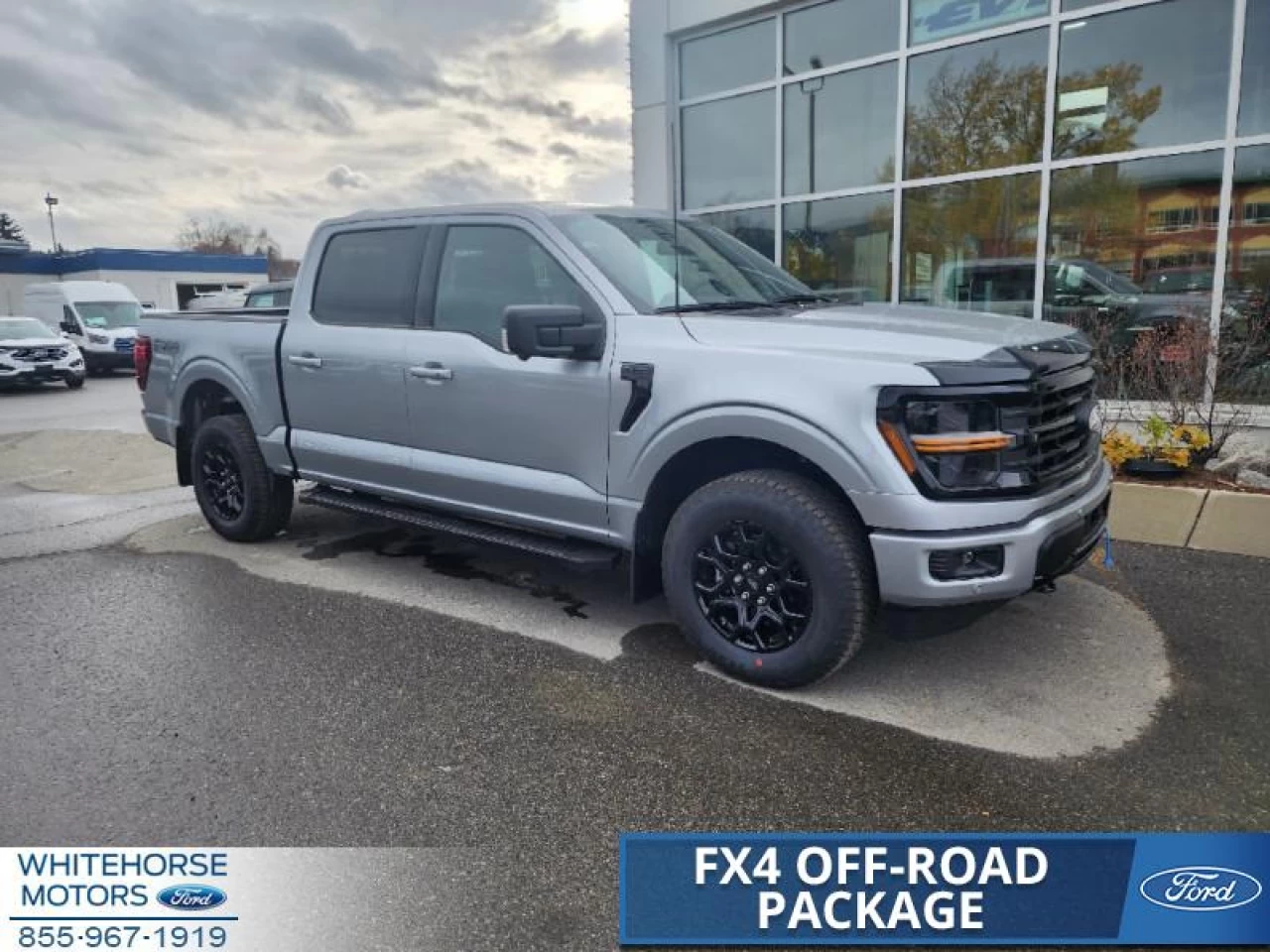 2024 Ford F-150 XLT Main Image