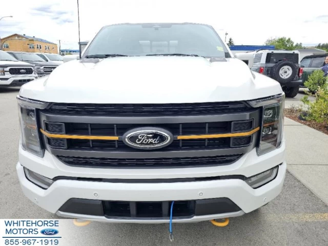 Ford F-150 Tremor 2023