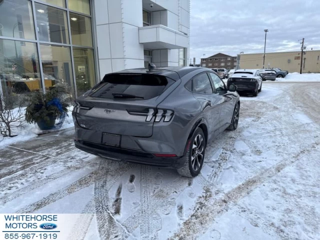 Ford Mustang Mach-E Premium AWD 2021