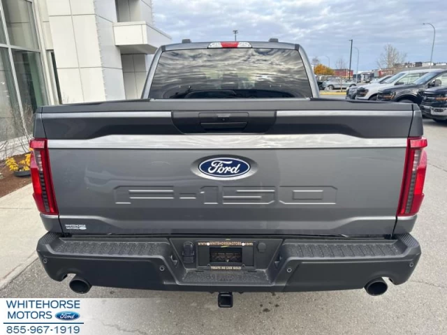 Ford F-150 STX 2024