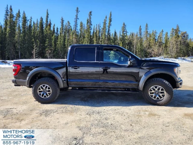 Ford F-150 Raptor 2023