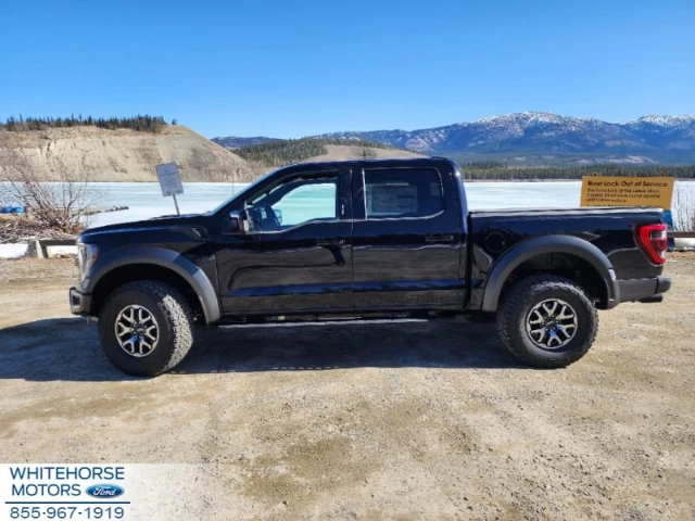 Ford F-150 Raptor 2023