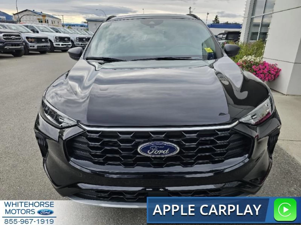 2024 Ford Escape ST-Line Image principale