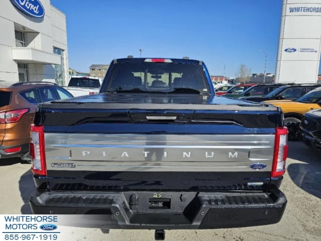 Ford F-150 Platinum 2023