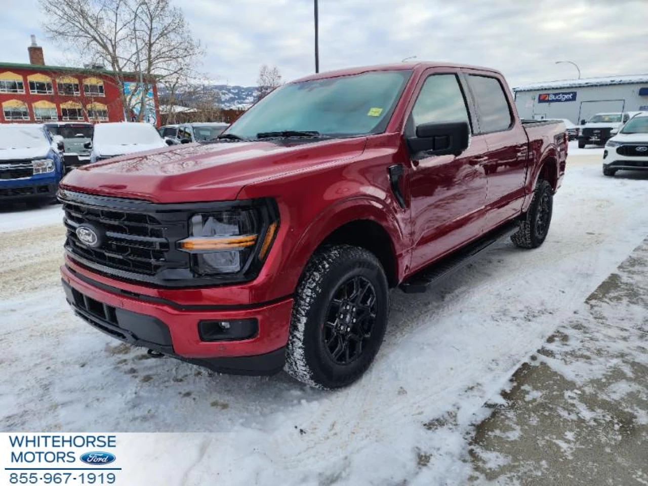 2025 Ford F-150 XLT Main Image