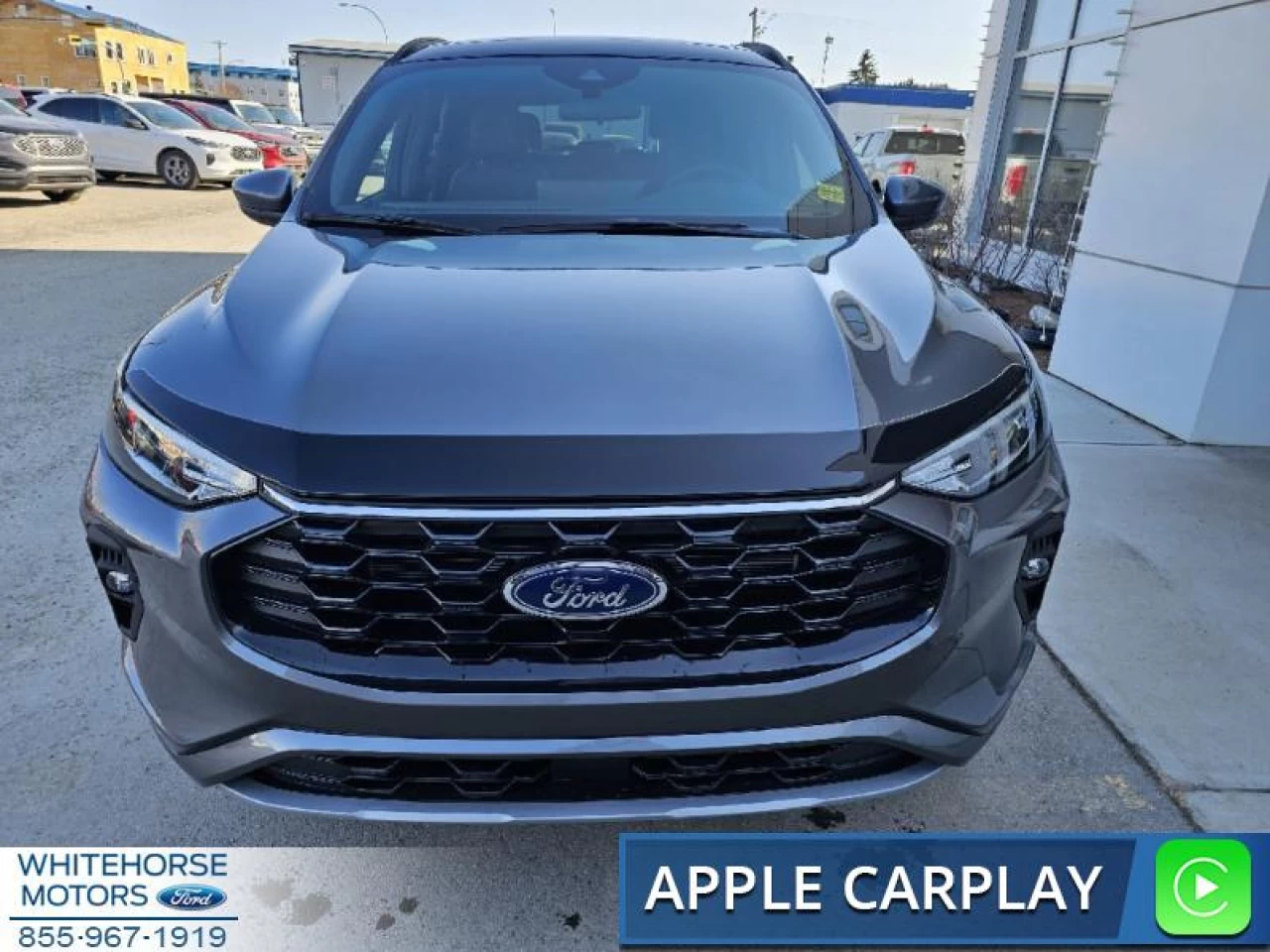 2024 Ford Escape ST-Line Select Main Image