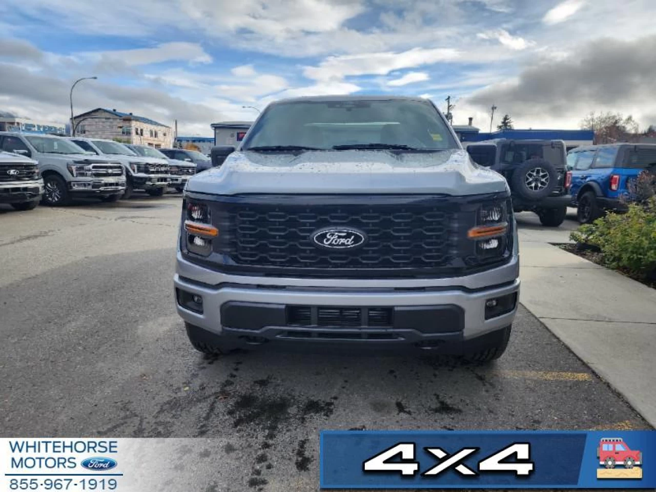 2024 Ford F-150 STX Main Image