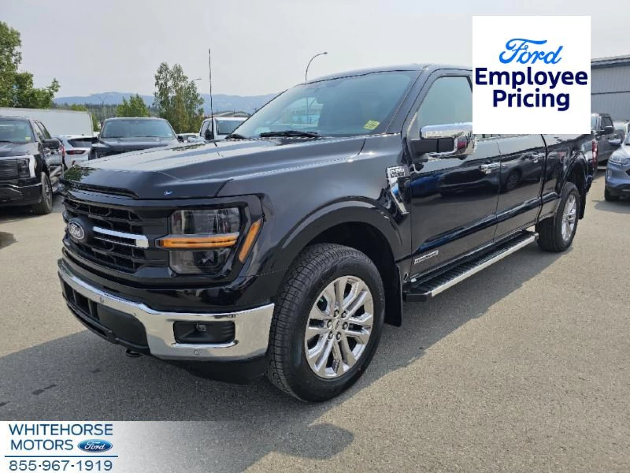 2024 Ford F-150 XLT Image principale