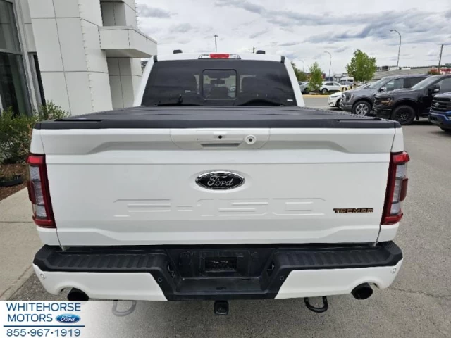 Ford F-150 Tremor 2023