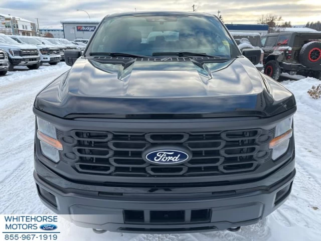 Ford F-150 STX 2024