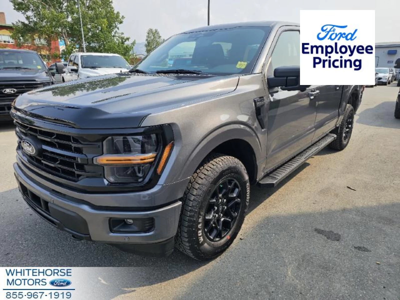 2024 Ford F-150 XLT Image principale