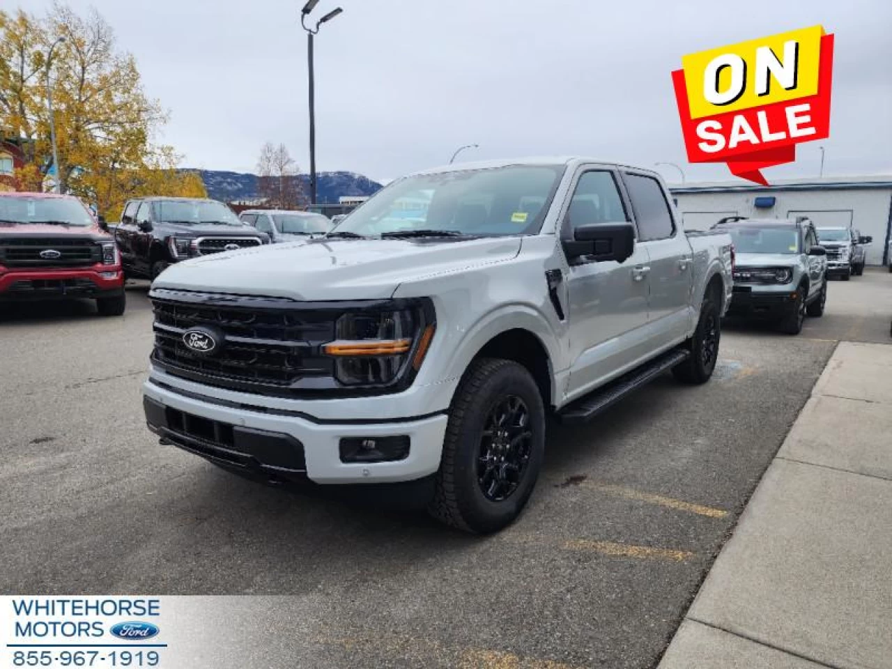 2024 Ford F-150 XLT Image principale