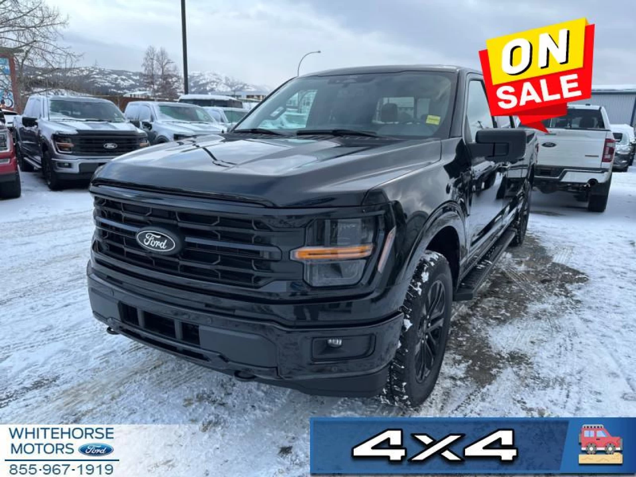 2024 Ford F-150 XLT Main Image