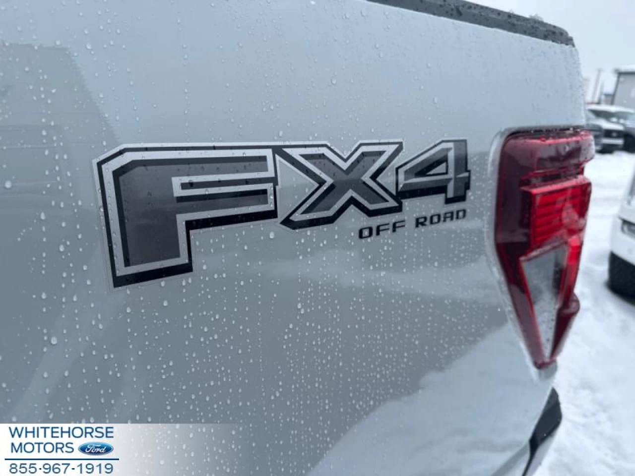 2024 Ford F-150 STX Main Image