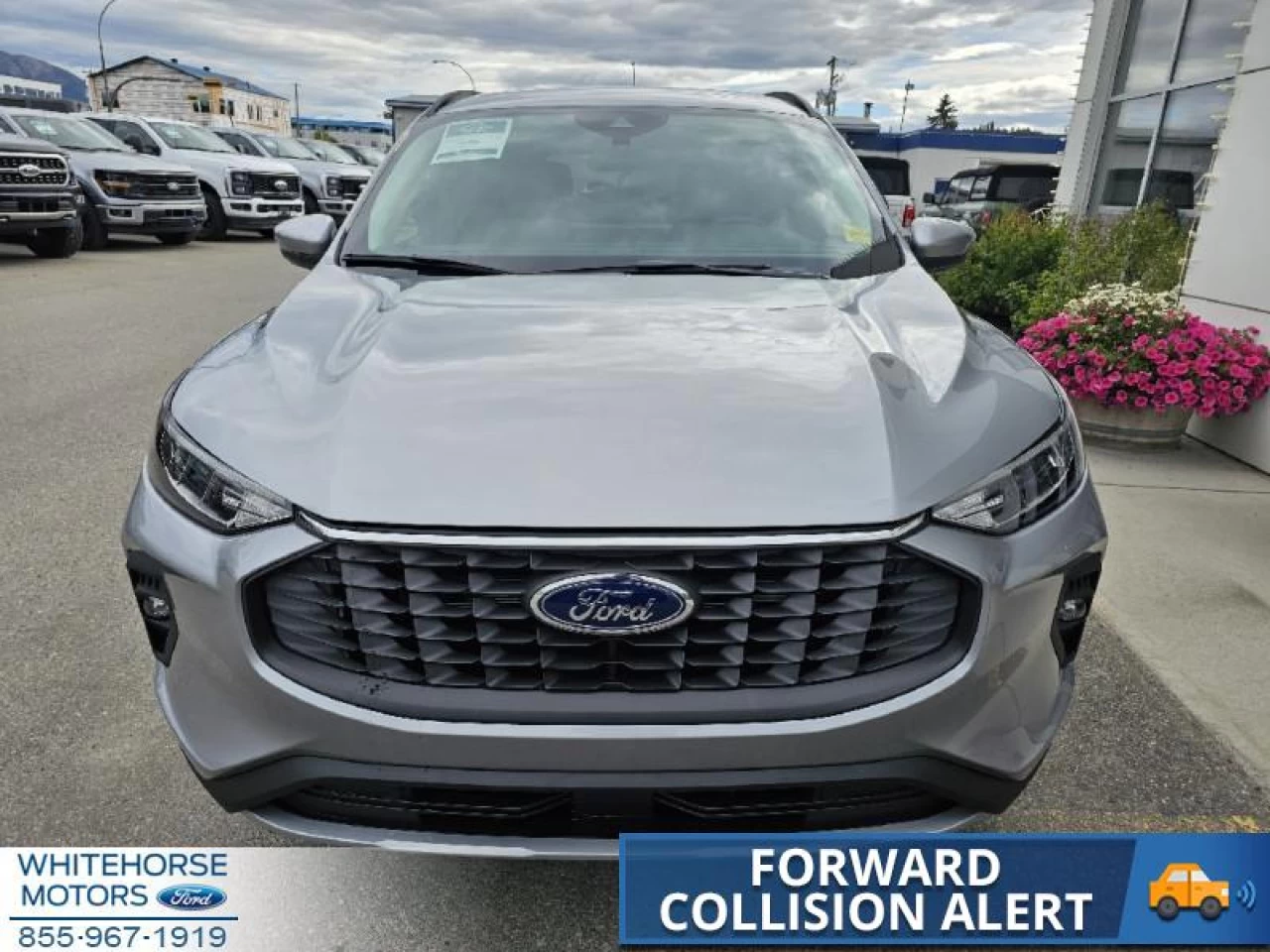 2024 Ford Escape PHEV Main Image