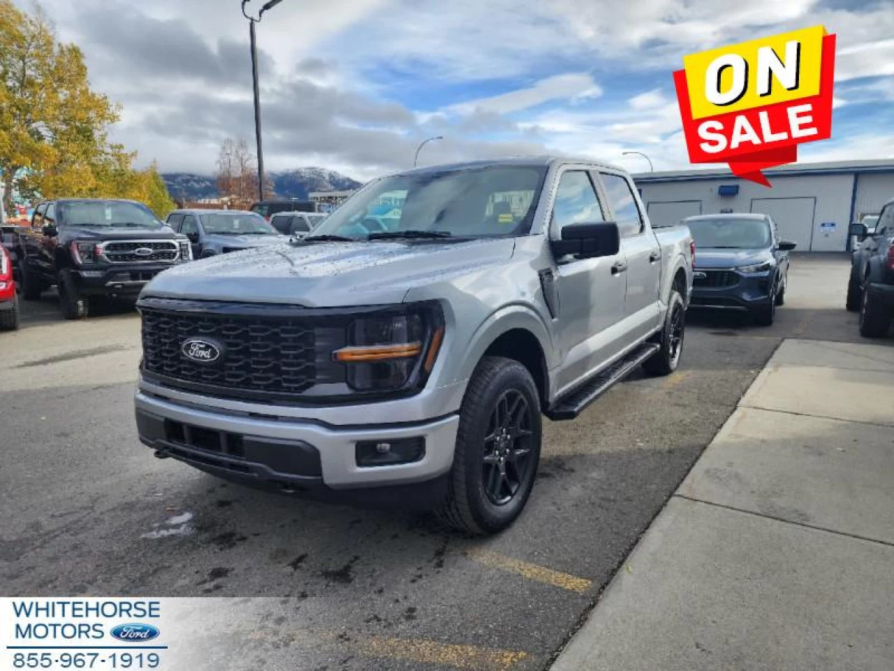 2024 Ford F-150 STX Image principale