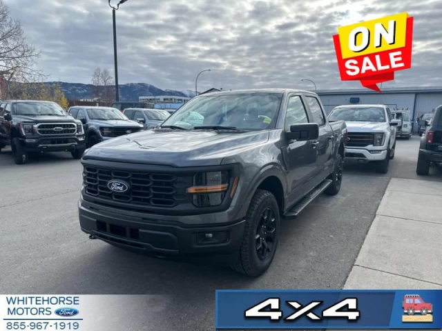 Ford F-150 STX 2024