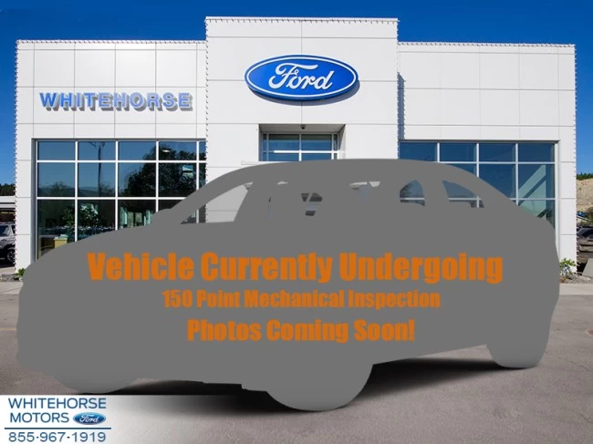 Ford F-150 - 2019