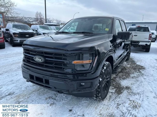 Ford F-150 - 2024