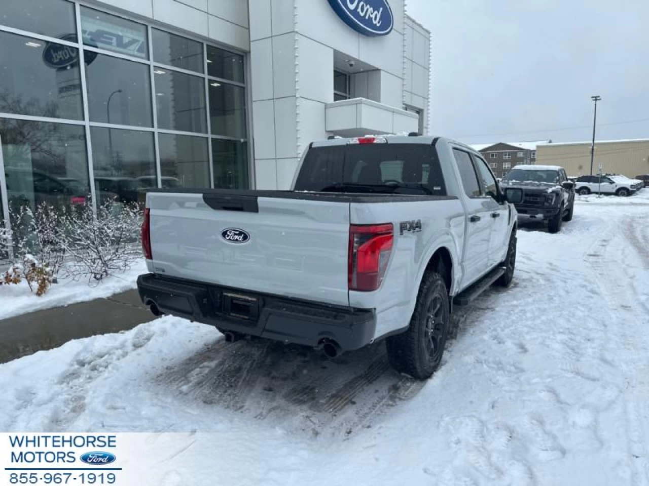 2024 Ford F-150 STX Main Image