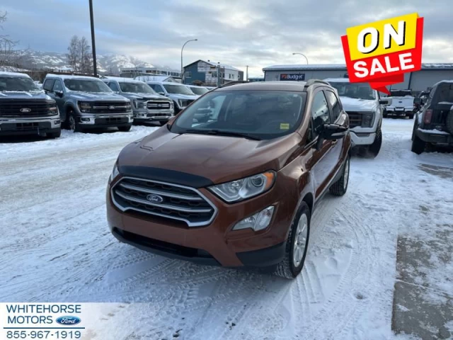 Ford EcoSport SE 4WD 2020