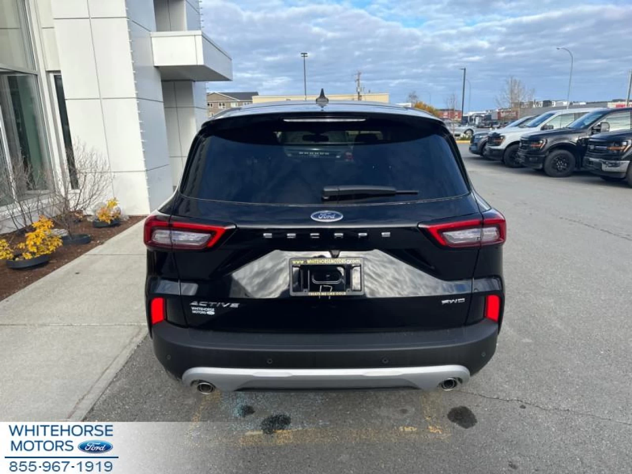 2024 Ford Escape Active Main Image