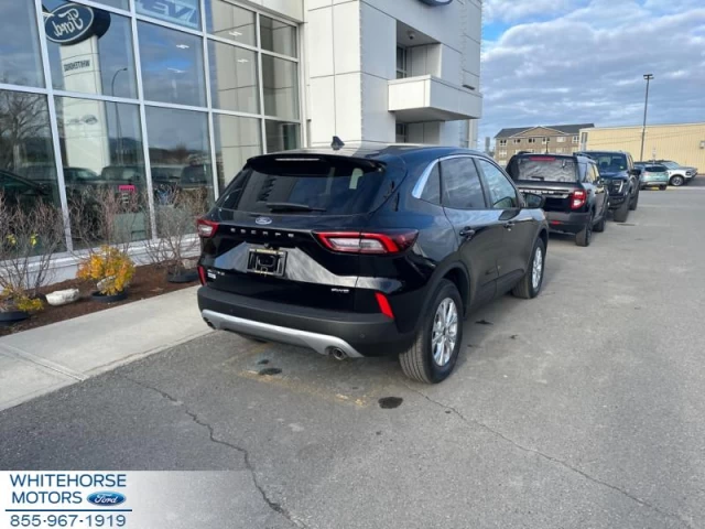 Ford Escape Active 2024