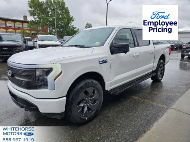 Ford F-150 Lightning Flash 2024