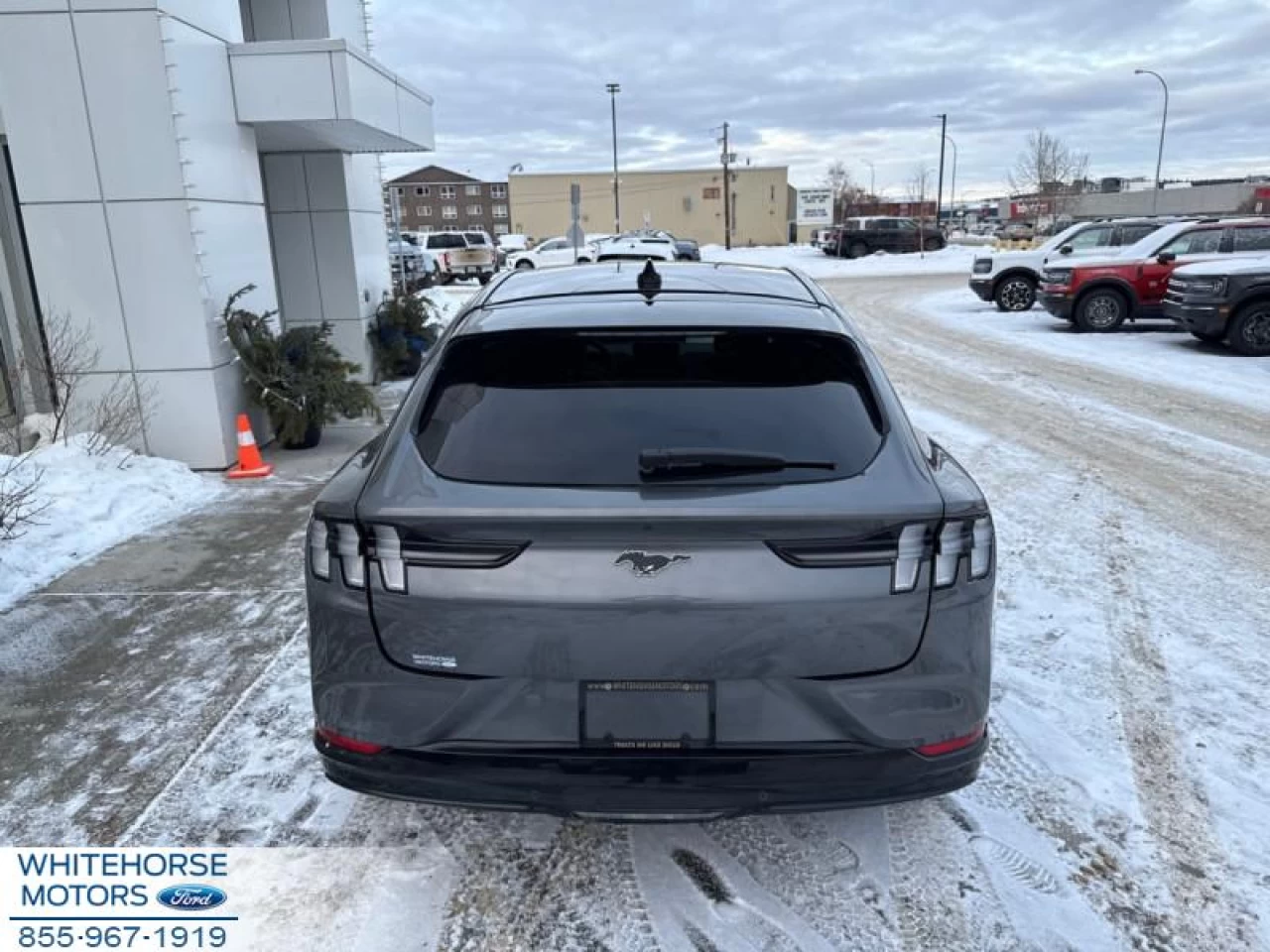 2021 Ford Mustang Mach-E Premium AWD Main Image