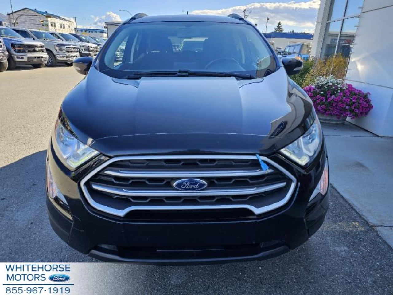 2020 Ford EcoSport SE FWD Image principale