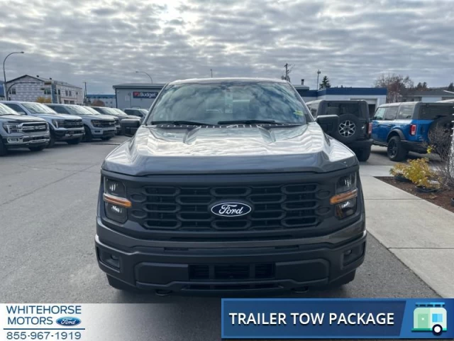 Ford F-150 STX 2024