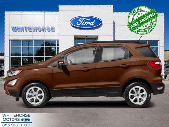 Ford EcoSport SE 4WD 2020