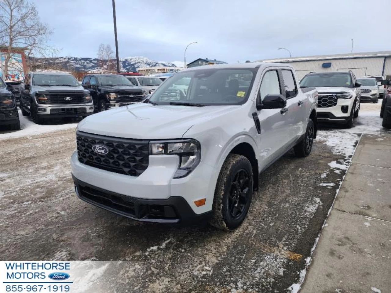 2025 Ford Maverick XLT Main Image