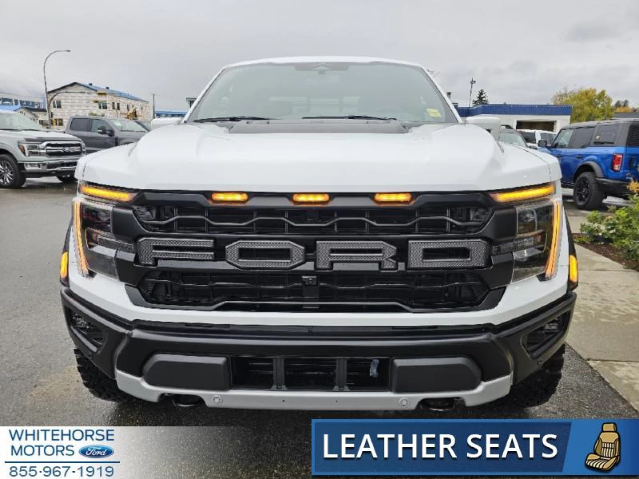 2024 Ford F-150 Raptor Main Image