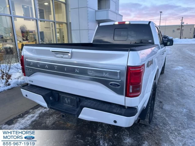 Ford F-150 Platinum 2015