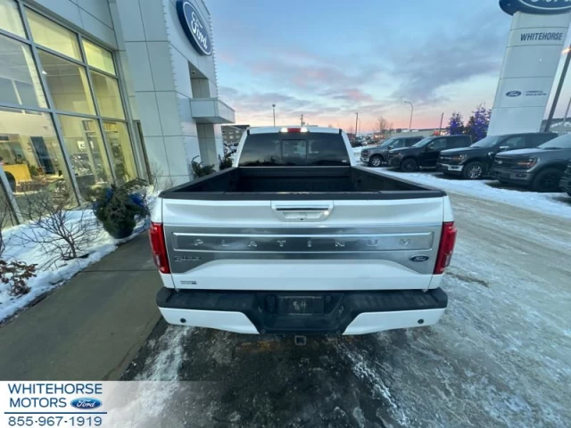 Ford F-150 Platinum 2015