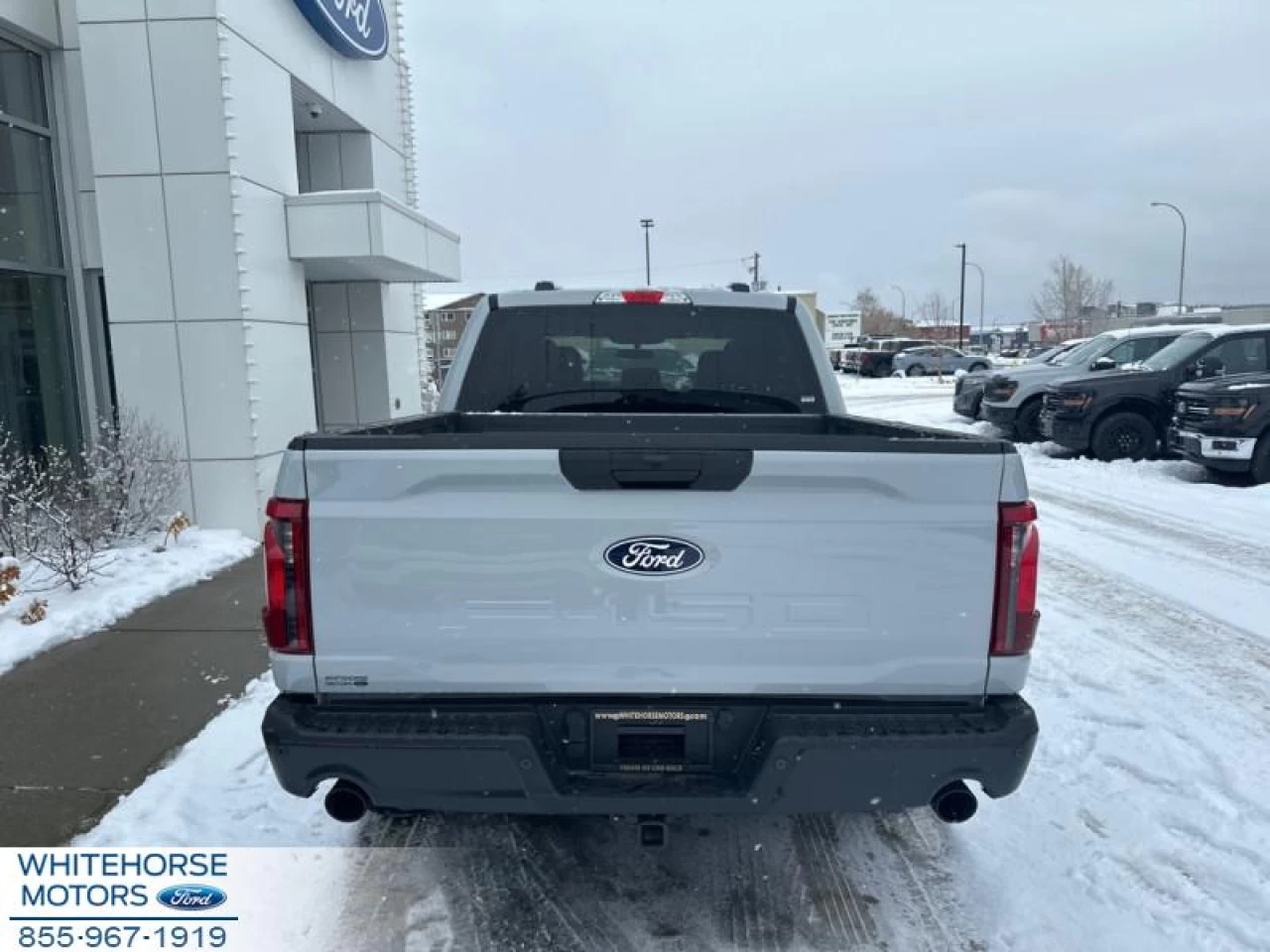 2024 Ford F-150 STX Image principale