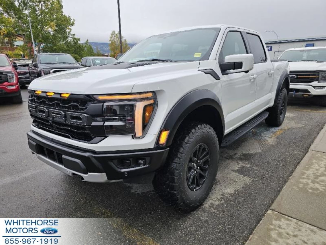 2024 Ford F-150 Raptor Main Image