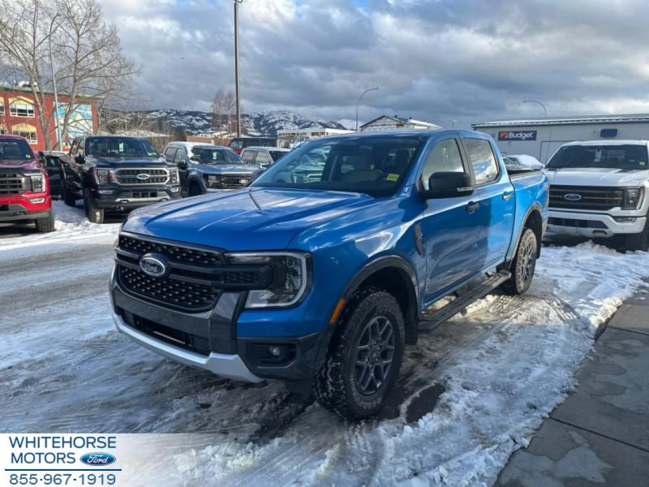 2024 Ford Ranger XLT Image principale